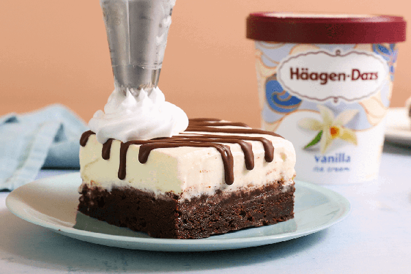 Häagen-Dazs Vanilla Ice Cream Brownie Bars